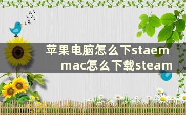 苹果电脑怎么下staem mac怎么下载steam